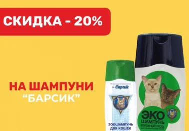 Встречайте Октябрь вместе с Animal Club!