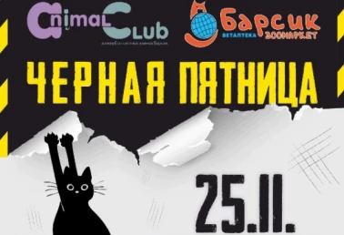 -40% для ваших любимцев!