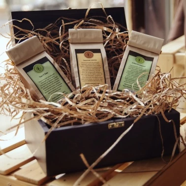 КИБЕРДНИ в Кантате!