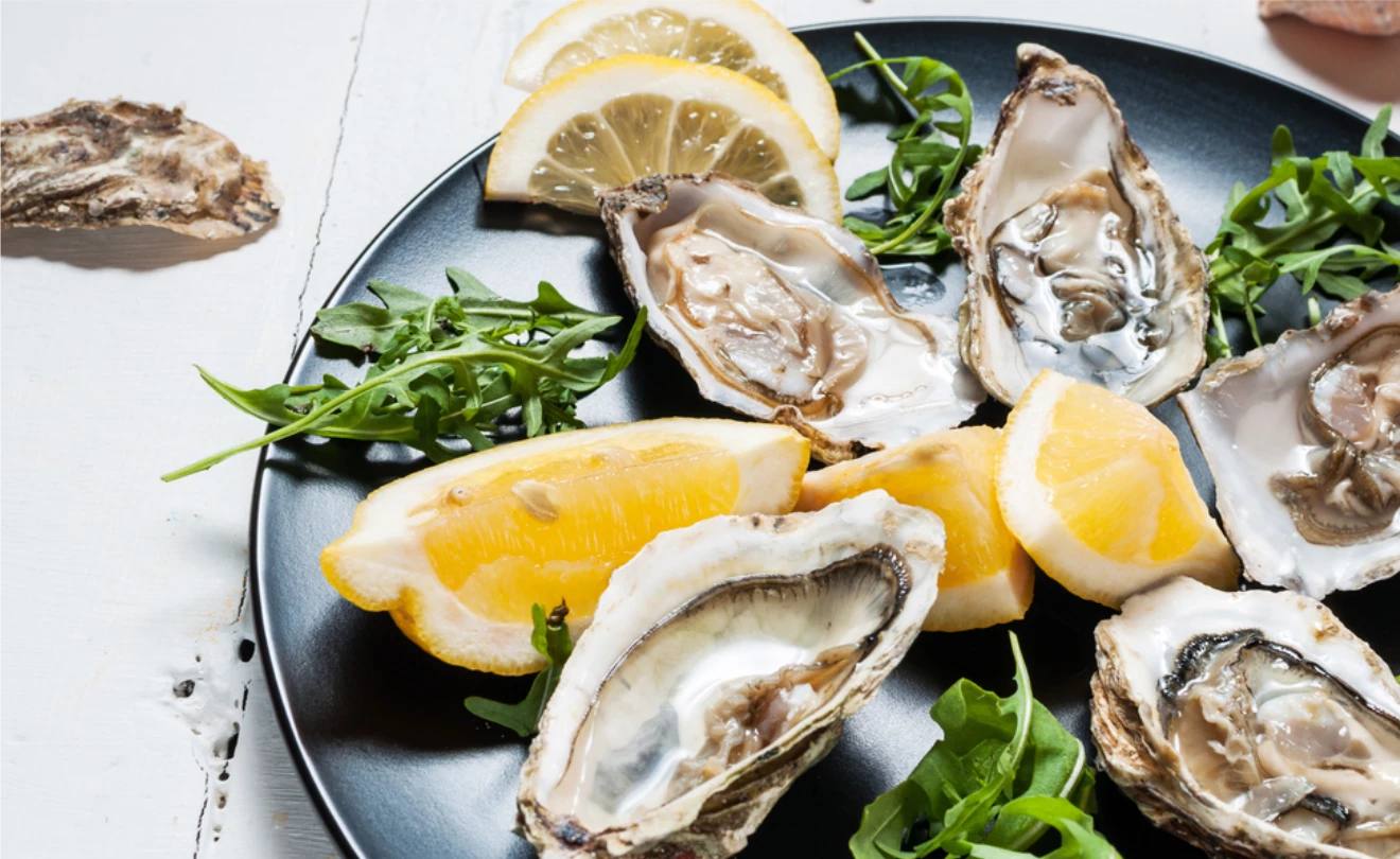 OYSTERS