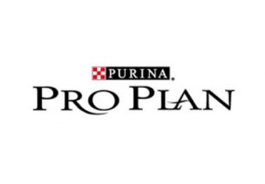 50% на второй корм для кошек!