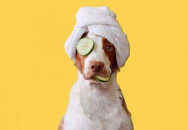 Скидка 45% на продукцию "Wonder Lab"