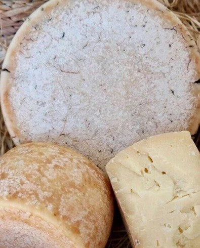 Сырные истории