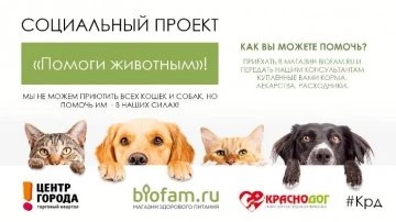 Помоги животным!