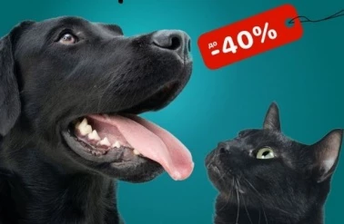 В зоомагазине "Бетховен" черная пятница!