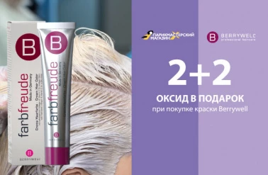 Акция 2+2 краситель Berrywell