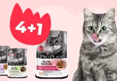 Акция 4+1 на паучи для кошек Pro Plan