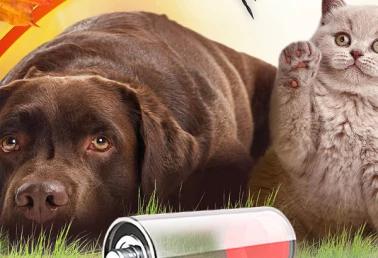 Обнови защиту с выгодой!