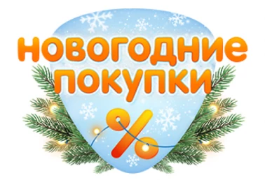 Новогодние покупки в DNS