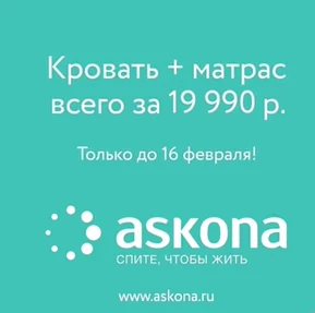 Бегом в Аскону!