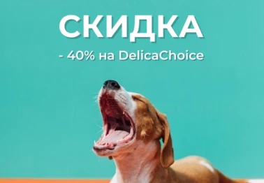-40% на DelicaChoice для собак!