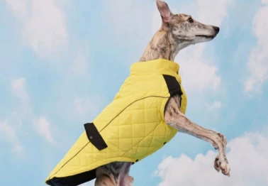 Жилет со скидкой 50% в Зоозавре 