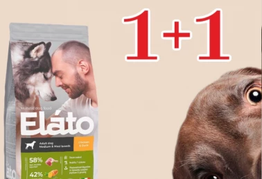 1+1 на корм Elato Holistic
