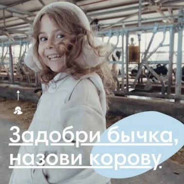 В ГОД БЫКА ВСЕМ ПО КОРОВЕ!