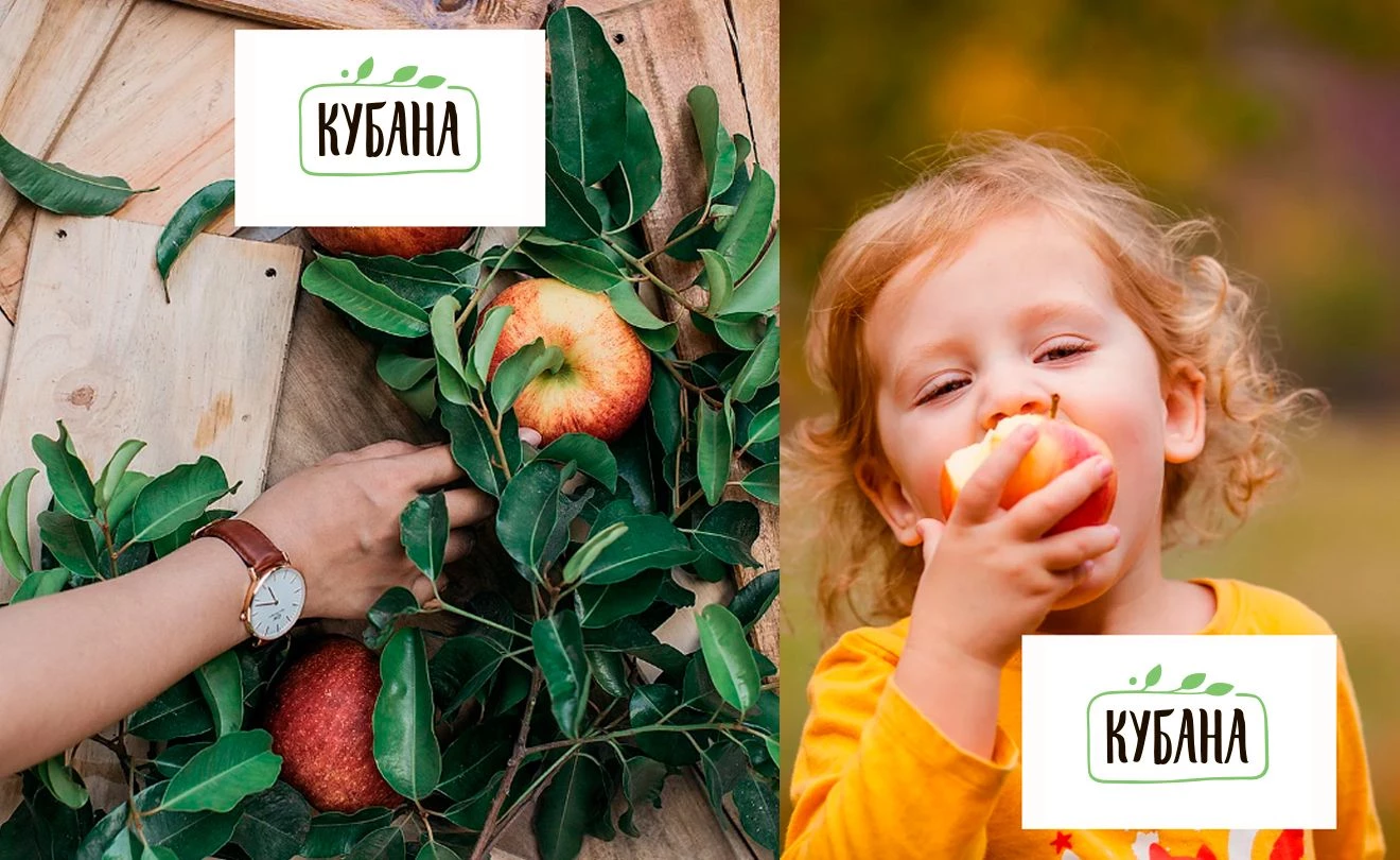 ООО «Кубснаб»