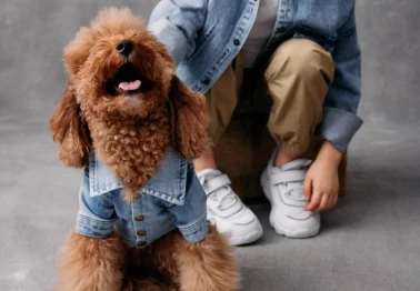 Новая коллекция Весна-Лето