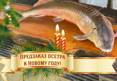 Предзаказ осетра к Новому Году!