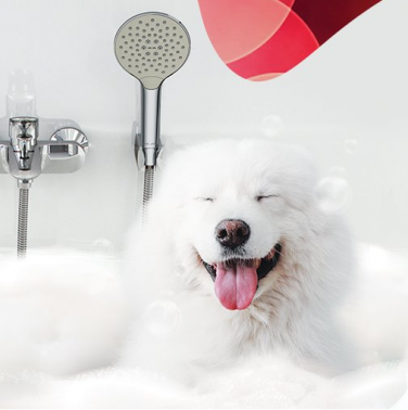 До 25% на сантехнику AM.PM