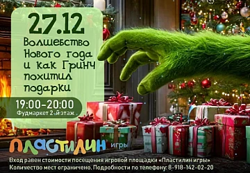 27.12 Детская программа "Как Гринч похитил подарки"