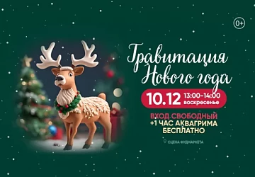10.12 - Гравитация Нового Года!