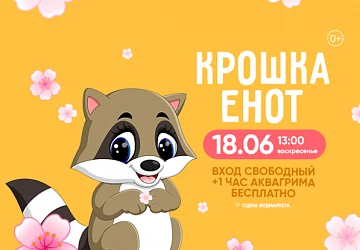18.06 в 13:00 игровая танцевальная программа "Крошка Енот"