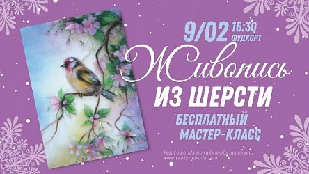 МК для взрослых Живопись шерстью. 16+