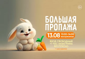 13.08 с 13:00 до 14:00 анимационная программа "БОЛЬШАЯ ПРОПАЖА"