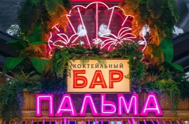 ОТКРЫТИЕ НОВОГО КОКТЕЙЛЬНОГО БАРА "ПАЛЬМА"