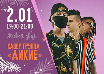 2.01 с 19 до 21 часов кавер группа "Дикие"