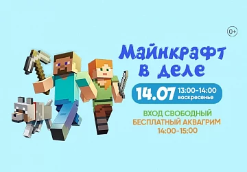 14.07 Детская программа "Майнкраф в Деле"