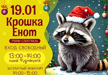 19.01 детская программа "Крошка Енот"