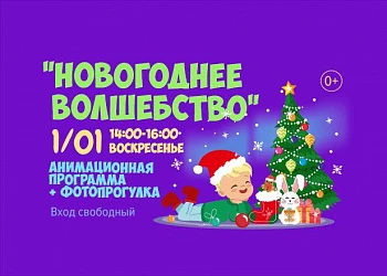 1.01 с 14 до 16 часов шоу "Новогоднее волшебство"