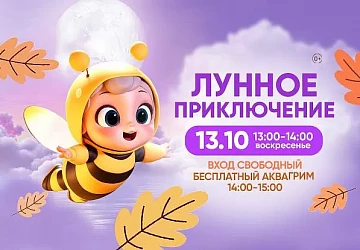 13.10 Детское Лунное Приключение