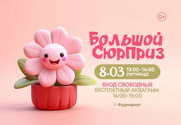 8.03 в 13:00 Детская танцевальная программа "Большой сюрприз"