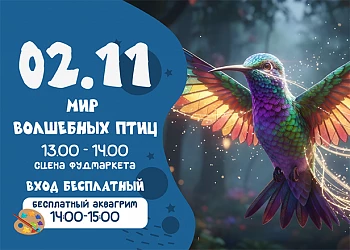 02.11 МИР ВОЛШЕБНЫХ ПТИЦ