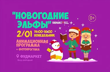 2.01 с 14 до 16 часов шоу "Новогодние эльфы"