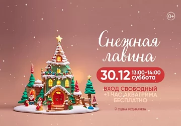 30.12 с 13:00 до 14:00 Снежная лавина!