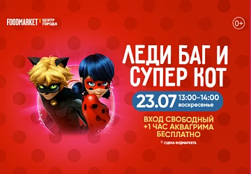 23.07 с 13:00 до 14:00 анимационная программа "Леди баг и супер кот"