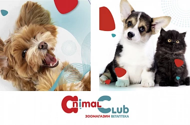 Открылся новый зоомагазин!