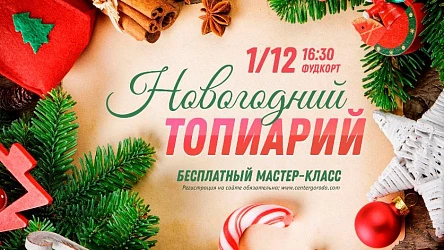 Мастер-класс для взрослых Новогодний топиарий.16+