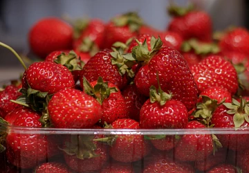 Фотоотчет с ГРАНДИОЗНОГО ФЕСТИВАЛЯ КЛУБНИКИ 10 июня