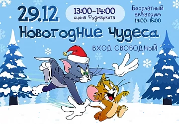 29.12 детская прграмма "Новогодние чудеса"