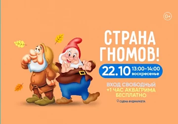22.10 в 13:00 танцевальная программа "СТРАНА ГНОМОВ!"