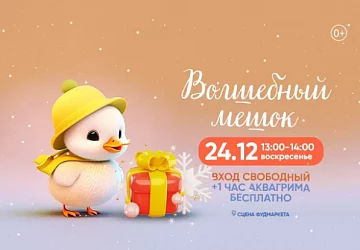 24.12 в 13:00 новогоднее волшебство для детей!